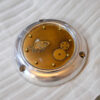 Harley-Davidson Goldfish Derby Cover
